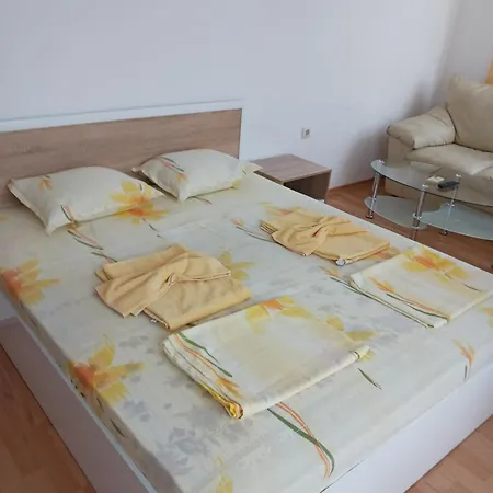 Vasilevi 3*
