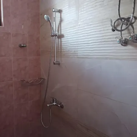 Vasilevi 招待所